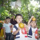 말미농장 이미지