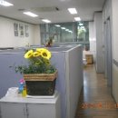 대륭포스트타워2 이미지