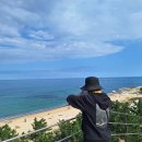 바다정원 이미지