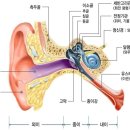 명덕효요양병원 이미지