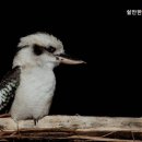 쉴만한물가요양원 이미지