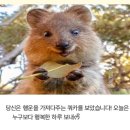 누하스라운지