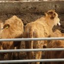 안흥마을 이미지