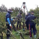 창민 농장 이미지