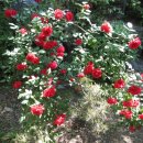 대박 행정사 사무소 이미지