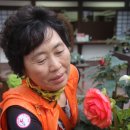 나래투어 - 중구 국채보상로 655 | 나래투어