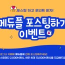 메듀플