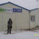 남선 농장 이미지