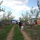 딸기밭 부농 이미지