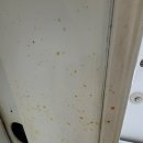 부평마이빌점 | 🏡 부평 대우마이빌 입주청소 ✨ 기름·니코틴·곰팡이까지 전문가의 손길로 해결