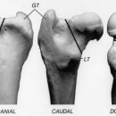 숲 동물의료센터 이미지