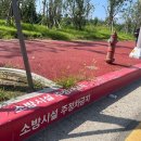 주정차단속-118 이미지