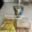 애니모터스 | 만화본다