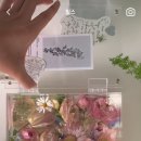 수에룬 이미지