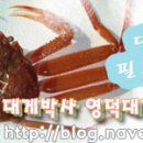 포장박사 이미지