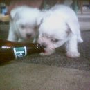 대성당구장 이미지