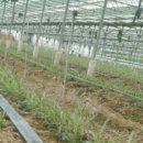 성채농장 이미지