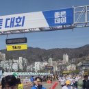 315 봄 이미지