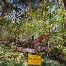 산성등산로2 이미지