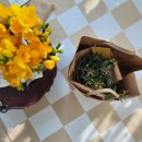 도도앤하우스 이미지