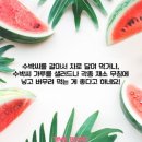 수박씨 이미지