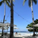 맹그로브 짐 | 보홀 픽드랍 가능한 크리 KRI 레스토랑, 노스젠빌라 데이유즈 맹그로브 숲 선셋 후기