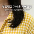 오일 | 아르간오일 효능 블라세아 퍼퓸헤어오일 솔직 후기