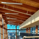 주전초등학교 이미지