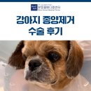 문동물병원 - 충주시 용관길 16 | 문동물병원