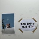 좌두철한의원 네이버블로그
