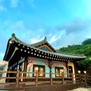 콜라니티다 이미지