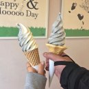 (주)본소프트 | 울산 언양 소프트아이스크림 맛집 본밀크 후기