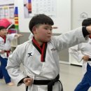 퍼스트 한국 태권도장 이미지