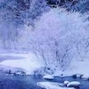 스위스보청기 이미지