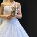 초이스 핏 | 드메르 홀패키지 본식 드레스 초이스 &amp; 헤어,메이크업 리허설 후기