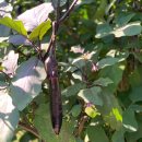 가온누리농장 이미지