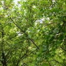 휴식 Ⅱ 이미지