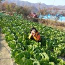 영준농장 이미지