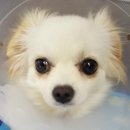 한라동물종합병원 이미지