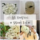충주 부케말리기 [림림데이] 내돈내산 후기