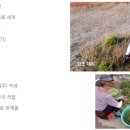 도비산직영 버섯함초장
