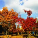 부평공원 이미지