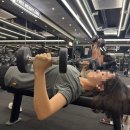 에이블짐 | 창동헬스장 에이블짐노원본점 PT후기 (천국의계단 5개 실화인가)