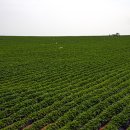 증도농장 이미지