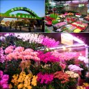 양재어린이공원 이미지