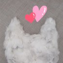 캣푸치노 이미지