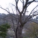 삼산4리 이미지