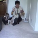 kikopup 님의 훈련트레이닝 동영상---teaching my dog to growl 21~25 (2007년 자료입니다) 이미지