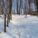 석성산 등산로 이미지