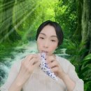 샐리가든커피 이미지